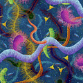 Biolog Study Number Three